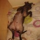 3 meses